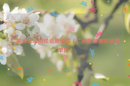 廣東省乙級(jí)測(cè)繪資質(zhì)申請(qǐng)（廣州房屋測(cè)繪資質(zhì)單位）