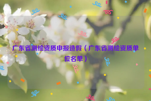 廣東省測(cè)繪資質(zhì)申報(bào)造假（廣東省測(cè)繪資質(zhì)單位名單）