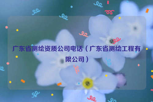 廣東省測(cè)繪資質(zhì)公司電話（廣東省測(cè)繪工程有限公司）