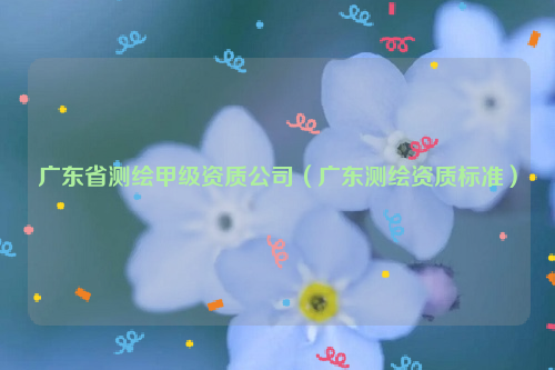 廣東省測繪甲級資質(zhì)公司（廣東測繪資質(zhì)標(biāo)準(zhǔn)）