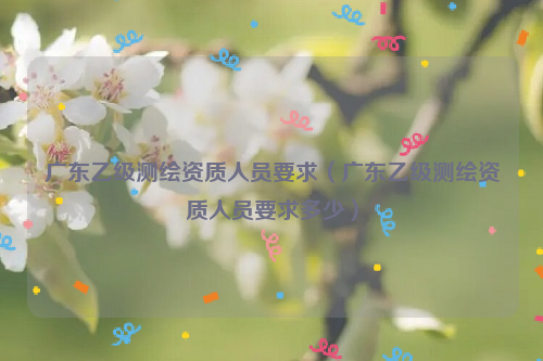 廣東乙級測繪資質(zhì)人員要求（廣東乙級測繪資質(zhì)人員要求多少）