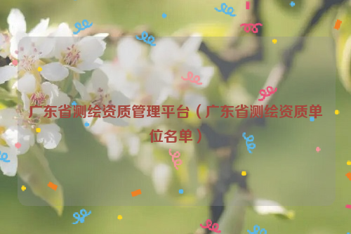 廣東省測(cè)繪資質(zhì)管理平臺(tái)（廣東省測(cè)繪資質(zhì)單位名單）