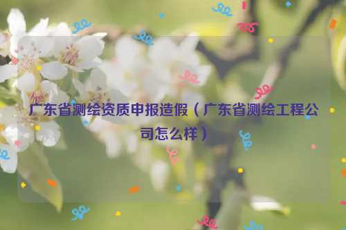 廣東省測(cè)繪資質(zhì)申報(bào)造假（廣東省測(cè)繪工程公司怎么樣）