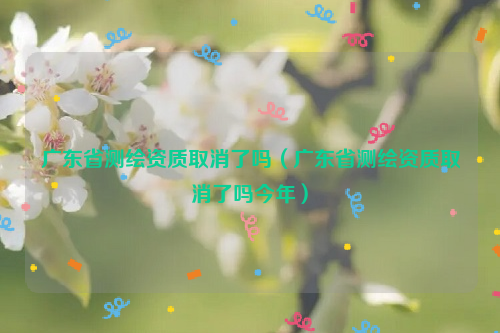 廣東省測繪資質(zhì)取消了嗎（廣東省測繪資質(zhì)取消了嗎今年）