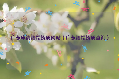 廣東申請(qǐng)測(cè)繪資質(zhì)網(wǎng)站（廣東測(cè)繪資質(zhì)查詢）