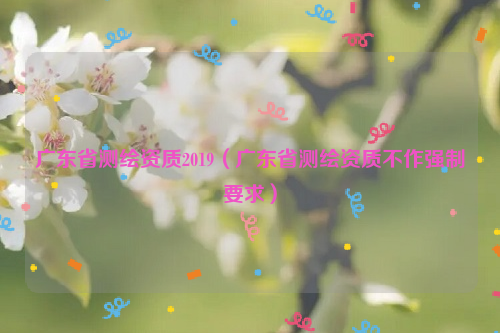 廣東省測繪資質(zhì)2019（廣東省測繪資質(zhì)不作強制要求）