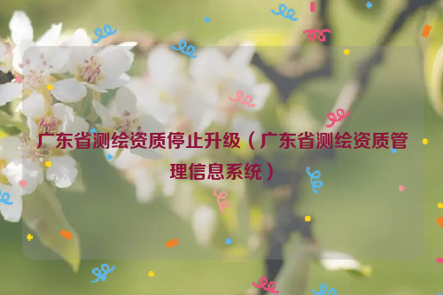 廣東省測(cè)繪資質(zhì)停止升級(jí)（廣東省測(cè)繪資質(zhì)管理信息系統(tǒng)）